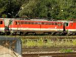 1142 685-7; hofft wohl im Bahnhof Vöcklabruck vergebens, nicht dem Schneidbrenner zum Opfer zu Fallen; 240831