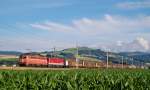 Mit einem Güterzug sind am 24.06.2014 1142 575 und 1142 685
in Nussbach durchgefahren.