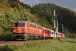 1142 623 als S1 bei Pernegg am 20.10.2015.