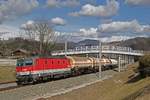 1144 223 mit Güterzug bei Stübing am 7.03.2017.