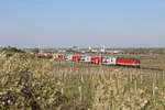 Durch die frühlingshaften Weinberge rund um Pfaffstätten fährt 1144.083 mit ihren Reg. nach Wr.Neustadt am 18.4.18