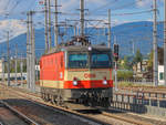 Graz. Die ÖBB 144 092  Schachbrett  war am 03.09.2020 als Lokzug unterwegs, hier in Graz DOn Bosco.