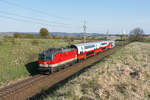 1144 271 brachte am 26.04.2021 den REX 2120 von Wien Franz Josef's Bahnhof nach Sigmundsherberg. Das Foto entstand kurz nach Ziersdorf.