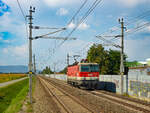 Feldkirchen. Die ÖBB 1144 036 braust am 30.08.2024 als Lokzug durch den Bahnhof Flughafen Graz-Feldkirchen.