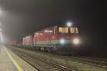 Die 1144 261 und die 1016 028 hatten am 2.12.2024 mit einem recht kurzen Güterzug von Bruck/Mur Fbf nach Linz Vbf nicht viel zu tun und warten hier beim Kreuzungshalt im Bahnhof Reichraming auf