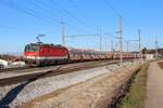 In der herrlichsten Nachmittagssonne des 30.11.2024 bringt die 1144 224 einen leeren Erzzug von Linz Stahlwerke nach Spielfeld-Straß und steht hier im Bahnhof Rohr-Bad Hall beim Abwarten eines Gegenzuges.