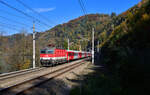 1144 224 mit einem REX am 24.10.2024 bei Ingling.