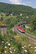 1144.248+1116 mit GAG-49417 beim alten Brunnen bei Kb am 27.7.13