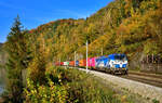 1193 980 mit einem Containerzug am 24.10.2024 bei Ingling.