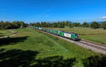 1193 900 mit einem KLV am 16.09.2023 bei Schwarzwöhr.