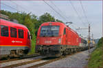 OBB 1216 142 zieht LkWzug durch Maribor-Tabor Richtung Tezno BF. /17.9.2020