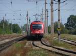 1216 238 mit einem Personenzug bei der Durchfahrt durch die Bahnhaltestelle Wien Sssenbrunn. (08.01.09)