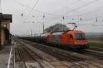 Die 1216 902-7 RTS der Firma Swietelsky ist am 29.11.2013 mit einem Kesselzug, beladen mit Benzol, durch den Bahnhof Kirchstetten Richtung Wien unterwegs. Leider hat an dem Tag das Wetter nicht so mitgespielt.