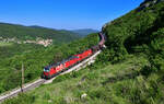 1293 031 + 1216 146 mit einem Güterzug am 10.05.2024 bei Hrastovlje.