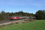 1293 194 mit  Schiebewandwagen  aus Salzburg kommend am 9.