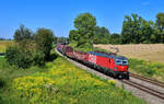 1293 091 mit einem Güterzug am 13.08.2024 bei Langenisarhofen.