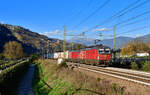 1293 034 + 1293 xxx mit einem KLV am 30.10.2024 bei Albes.