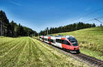 4023 009-6 fährt als S2 4314 (Rosenbach - Villach Hbf - Feldkirchen in Kärnten - St.