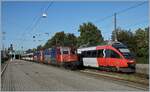 Lange Zeit Alltag: SBB Re 4/4 mit einem EC nach München beim Halt im Bahnhof von Bregenz.