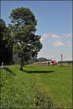 4024 095 und ein Schwestertriebzug sind als RB 5119 von Rosenheim nach Telfs-Pfaffenhofen unterwegs. (06.08.2009 bei Niederaudorf)