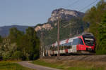 4024 039-9 im schönen Abendlicht hinter Altach.