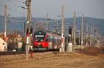  Entchen im Mastenwald  - 4024 101 unterwegs als S-Bahn 21044 nach Tulln.