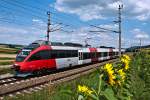 4024 131, unterwegs nach St. Plten Hbf. Die Aufnahme enstand am 20.07.2013 zwischen Neulengbach und Ollersbach.