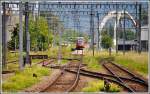 Gras und Unkraut gedeiht prächtig bei diesem nassen Wetter. S3 5767 aus Bregenz trifft in St.Margrethen ein. (27.05.2015)