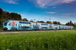 BR 4110 128 der WESTbahn mit Werbung für das Klimaticket von München Hbf nach Wien am 06.10.2024 bei Eglharting.