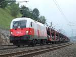 1116 087  EM-Polen  ist am 05.06.2008
mit einem Autozug in Wartberg7Kr. durchgefahren.