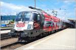 Die Bundesheer-Lok 1116 246 war am 6.August 2009 damit beschftigt, den OEC 255 (Wien Sd - Maribor)nach Spielfeld-Stra zu bringen. Die Aufnahme enstand in Graz Hbf.