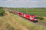 1116.225  ÖFB  als RJ-631 in den Weinbergen rund um Pfaffstätten am 10.7.15