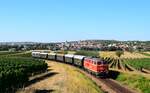 Die  2143 070 fährt mit dem Reblaus-Express Zug Richtung Drosendorf zwischen den Weinbergen rund um Retz. Über dem Zug ist die Stadt Retz zu erkennen.
Retz, 11.08.2024.