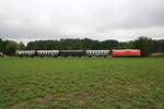 NLB 2143.56 am 02.September 2018 mit dem SR 16434 (Wien Praterstern - Zellerndorf - Laa/Thaya - Mistelbach) auf der Pulkautalbahn beim Strecken-Km 132,5.