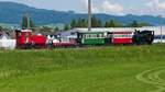 Nachdem die elektrische/dieselektrische Lok  URS  den Personenzug von Wiesenrain bis zum Streckenunterbruch in Kriessern gezogen hatte, wird Dampflok  LIESL  diesen Zug zurück nach Wiesenrain ziehen. Am 30.05.2019 wartet der Zug auf die Fahrgäste, die auf Grund der teilweise demontierten Dienstbahnbrücke über den Rhein zwischen Kriessern und Mäder zu Fuß vom österreichischen Mäder über die Straßenbrücke ins schweizerische Kriessern laufen müssen. Grund für die Teildemontage der Dienstbahnbrücke der Internationalen Rheinregulierung (IRR) im Jahr 2012 war das erhöhte Risiko im Hochwasserfall (Ansammlung von Schwemmholz, erhöhter Wasserdruck auf die Brücke, möglicher Einsturz, Aufstau des Wasserspiegels und dadurch Überströmung der Außendämme oberhalb der Brücke).