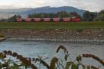 Der Rhein, der Damm und das Rheinbähnle. Auf der Rückfahrt von der Rheinmündung zieht die Lok 'URS' am 11.10.2015 bei Fußach den Zug zurück zum Museumgelände in Lustenau.