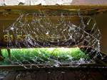 Spinnennetz, an einem alten abgestellten Waggon am Bhf.
