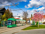Graz. Auch der Frühling hält schon inne in Österreich: Cityrunner 662 der Graz Linien, steht hier am 17.03.2024 in der Haltestelle Mariagrün.