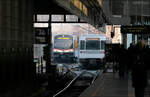 Auf Bahnfoto-Tour durch Wien - eine Chronologie (Mi. 05. Feb. 08:26)

Mit dem Silberpfeil bin ich mitgefahren bis zur Endstation Heiligenstadt der U4. Die Züge wenden in einer Wendeanlage hinter der Station. Rechts über dem Silberpfeil ist eine Kamera auf mich gerichtet, deren Bild man auf dem unteren Monitor sehen kann. Die Person links auf diesem Bild bin wohl ich.

05.02.2025 (M)