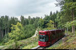 Innsbrucker Mittelgebirgsbahn/Tramlinie 6: Flexity 318 am 23. Juli 2018 auf Bergfahrt beim Tummelplatz.