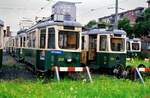 TW 248, TW 202 und TW 221, alle aus der Reihe 200 SGP, waren zu dieser Zeit bei der Grazer Straßenbahn leider nur noch für die Ersatzteillieferung zuständig.