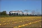 GKB Sonderzug nach Köflach, bespannt mit der 1860 gebauten Dampflokomotive 671.