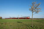 Cityjet mit Baum im Frühling bei Wien Süßenbrunn am 23.04.2021.