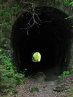 ehemalige Bregenzerwaldbahn, km 9.2. Ausfahrt aus dem Rickenbachtunnel, gesehen in Richtung Bregenz. Fr dieses Foto bin ich an den Eingang etwas dichter herangetreten. Wie man an dem Bild erkennen kann, ist der Tunnel ziemlich kurz und gerade, er hat eine Lnge von 86 m. Der Tunnel ist gut begehbar.