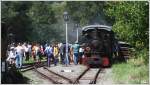 Dampftag 2012 auf der Gurkthalbahn - Die Bhler 13 von Krauss Mnchen (Bj 1941) ist soeben in Pckstein-Zwischenwssern angekommen.  
5.8.2012