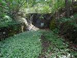 Tunnelportal zugemauert und verschlossen,ist nun ganz der Natur überlassen, und ein historisches Relikt der alten SKGLB, bzw.