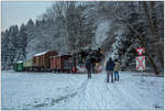 An einer Horde Fotografen vorbei zieht Dampflok 764.411R der Stainzerbahn einen Fotogüterzug von Preding nach Stainz, aufgenommen in den Wäldern nahe Mannegg.