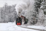 Winter Wonderland II- Dampflok 764.411R der Stainzerbahn fährt mit einem Güterzug von Preding nach Stainz, aufgenommen in den Wäldern nahe Mannegg. 16.12.2018