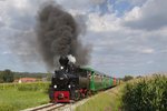 Der Flascherlzug kurz nach Herbersdorf. (24.08.2016)