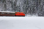 Die Nikolausfahrten der Bregenzerwälderbahn.